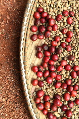 Coffee beans and fresh berries beans background