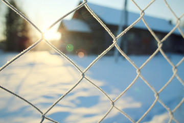 Fresh snow winter background in nature