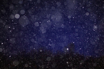 winter night photo