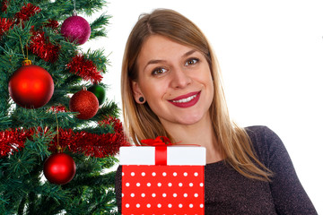 Christmas gift & decoration