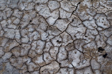 Colorful dry saline soil surface with salt stainx and deep black cracks