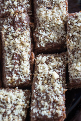 Chocolate cake with walnut cut into squares