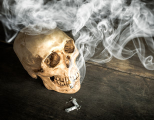 still life Skull of a Skeleton with Burning Cigarette, stop smok © fotobieshutterb