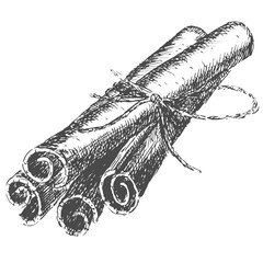 Cinnamon sticks. Hand drawn sketch