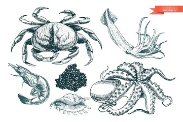 Vector hand drawn set of seafood icons. Crab, shrimp, squid, octopus, caviar and oyster. Engraved art.