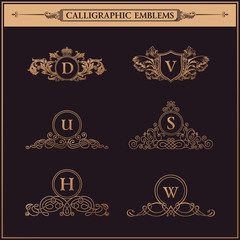 Vintage flourishes elements. Calligraphic ornaments set