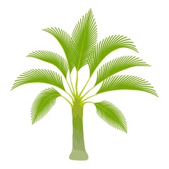 Obraz premium Spreading palm icon. Cartoon illustration of spreading palm vector icon for web