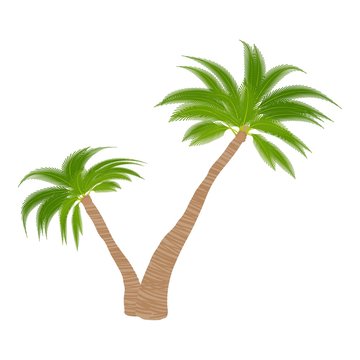 Two palm trees icon. Cartoon illustration of two palm trees vector icon for web
