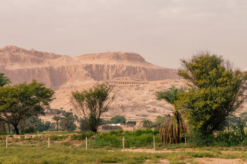 LUXOR: Ancient Colossi of Memnon in Egypt at noon. The original function of the Colossi was to stand guard at the entrance to Amenhotep's memorial temple.
