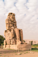 LUXOR: Ancient Colossi of Memnon in Egypt at noon. The original function of the Colossi was to...
