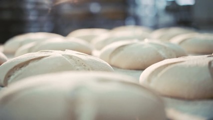 Process of baking breads in 4K