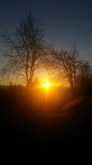 Fototapeta na wymiar Sonnenaufgang am Wintermorgen
