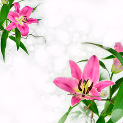 Fototapeta na wymiar Lilien Blüten - Freisteller
