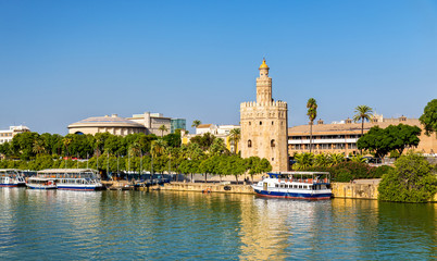 Obraz premium View of the Torre del Oro, a tower in Seville, Spain