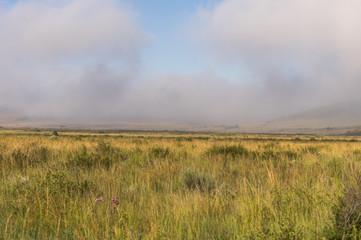 Welgevonden Game Reserve is Located within the Waterberg Mountains in Limpopo South Africa