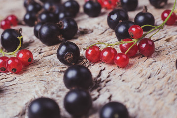  Red currant, black currant