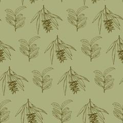 seamless pattern with the leaves of the tea tree. Hand drawn