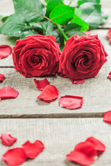 Roses and a hearts on wooden board, Valentines Day background