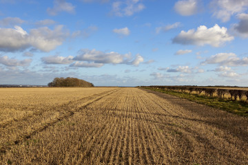 Fototapeta na wymiar straw stubble landscape