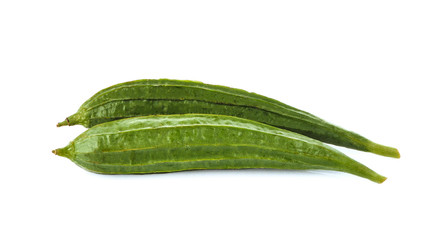 angled loofah on a white background