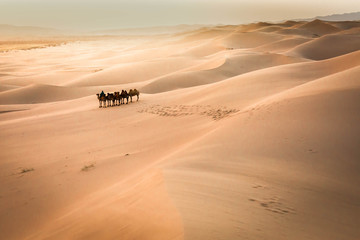 Fototapeta na wymiar beautiful desert at Khongoriin Els sand dunes in Gob desert i; Mongolia on may.