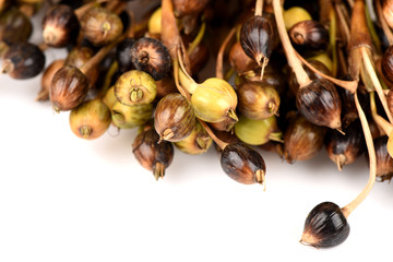 Millet, Adlay, Adlay millet, Job's tears, have medicinal properties.