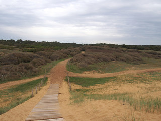 Forêt domaniale d'Olonne-sur-Mer