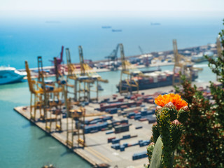 Obraz premium Commercial port with container ship