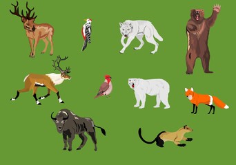 Animals of the northern hemisphere forests and planes set. Vector illustration icons © Massaget