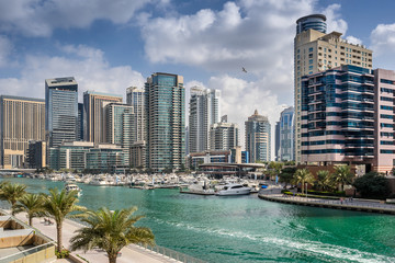 Obraz na płótnie Canvas Dubai marina in the UAE
