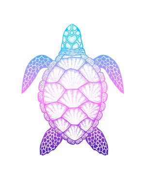 Sea turtle in line art style. Hand drawn vector illustration iso
