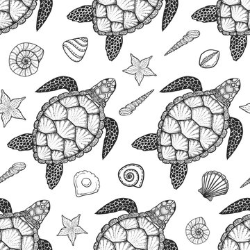 Seamless pattern with sea turtle and shells in line art style. H