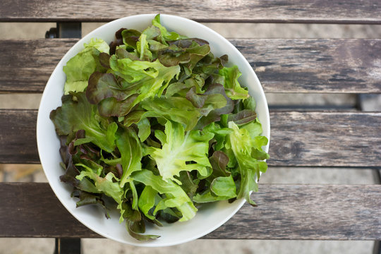 Lettuce cut in small pieces in bowl top view