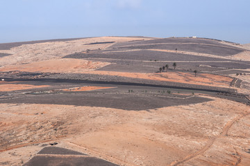 karge Hügel Landschaft mit Palmen von oben