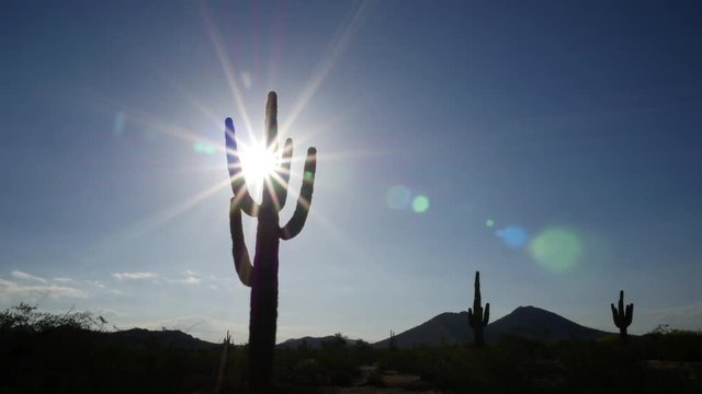 Hot Desert Sun