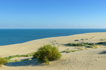 RUSSIA, VILLAGE of "MARINE"- August, 2016: the Curonian spit. Dune EFA