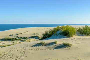 RUSSIA, VILLAGE of "MARINE"- August, 2016: the Curonian spit. Dune EFA