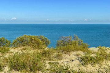 RUSSIA, VILLAGE of "MARINE"- August, 2016: the Curonian spit. Dune EFA