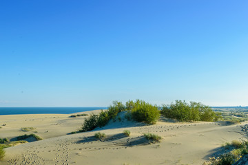 RUSSIA, VILLAGE of "MARINE"- August, 2016: the Curonian spit. Dune EFA
