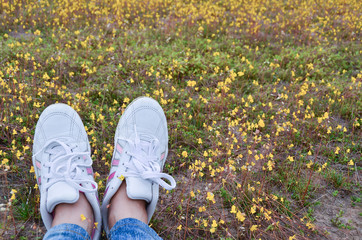 White sneakers on the grass and yellow flowers.
