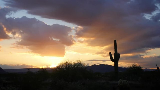 Desert Sunrise Zoom In