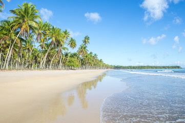 Bright scenic view of an empty, palm-fringed tropical beach on the Costa dos Coqueiros Coconut Coast in northeast Nordeste Bahia, Brazil