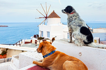 Santorini
