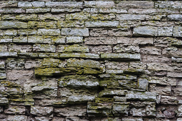 Abandoned wall of stones