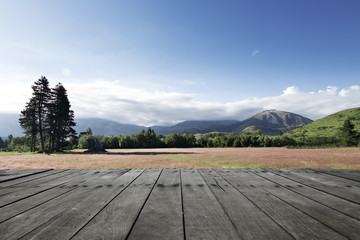 wood floor with pasture in summer day in New Zealand