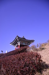 Naklejka premium 자연