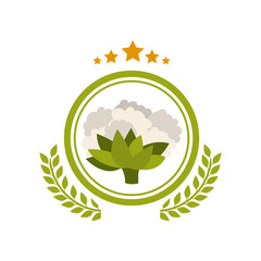 Vegetable icon. Organic healthy and fresh food theme. Isolated design. Vector illustration