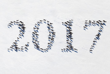 Reindeer in tundra as text font 2017, top view