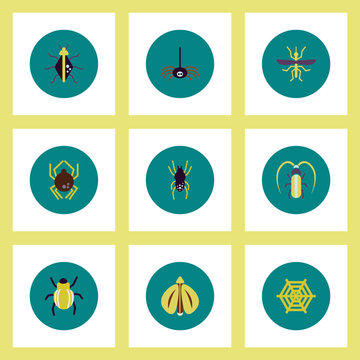 Collection of stylish vector icons in colorful circles insects