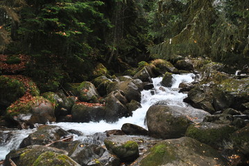 Naklejka premium Waterfall in a forest in autumn